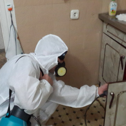 Дезинфекция от муравьев в квартире в Сычёво