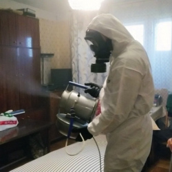 Дезинфекция от клопов в Сычёво