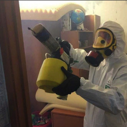 Уничтожение клопов в квартире. Сычёво